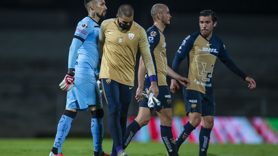 pumas