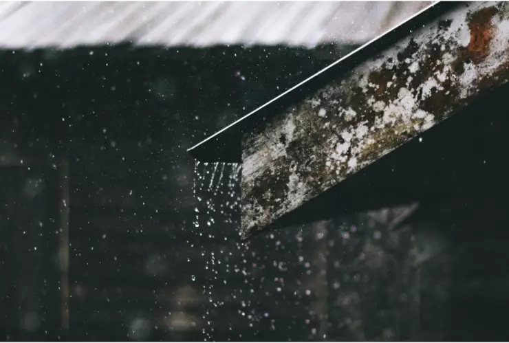 Este es el beneficio que pocos utilizan para sacarle provecho a las lluvias