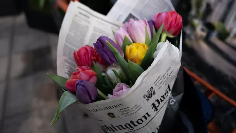 ¿Qué significa regalar tulipanes? Aquí la respuesta.jpg