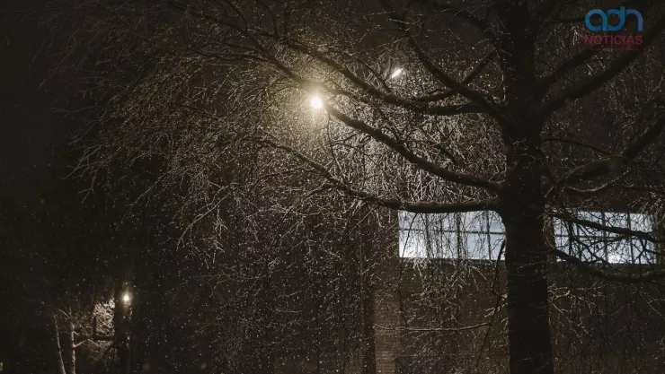 Nueva alerta de fr&iacute;o en la CDMX