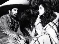 Vicente Fernández (8).jpg