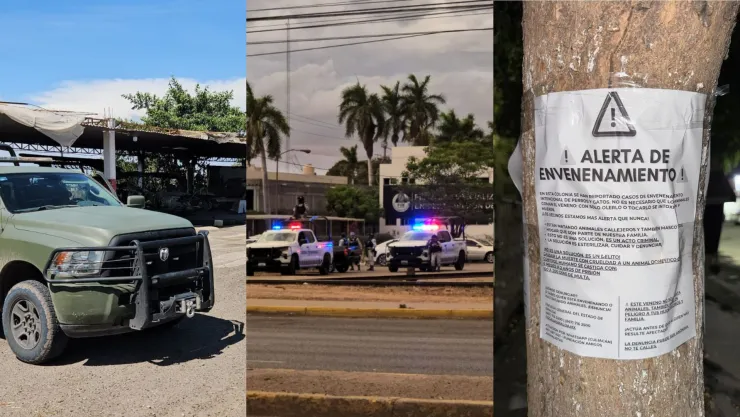 Noticias de Sinaloa hoy jueves 26 de junio de 2025