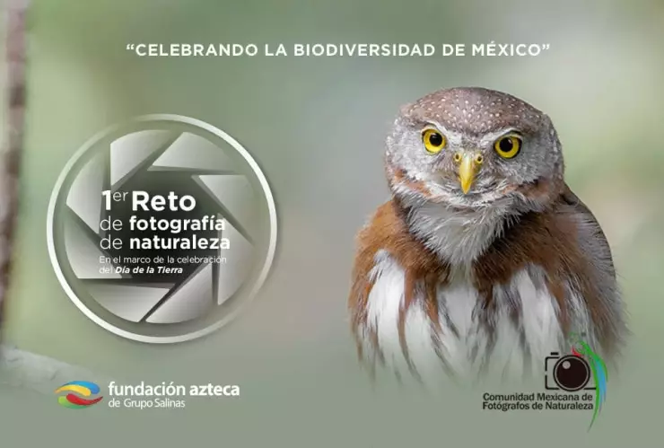 Participa en el reto fotográfico ‘Celebrando la Biodiversidad de México’ y gana increíbles premios