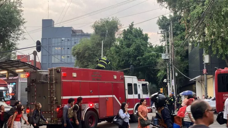 Caos vial en Insurgentes por caída de cable sobre Metrobús