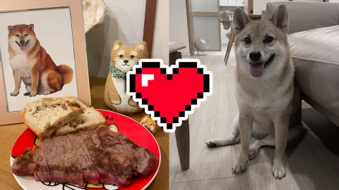 FOTOS_ A dos años de su muerte, Cheems ‘reaparece’ en redes con emotivo mensaje para sus fans.jpg