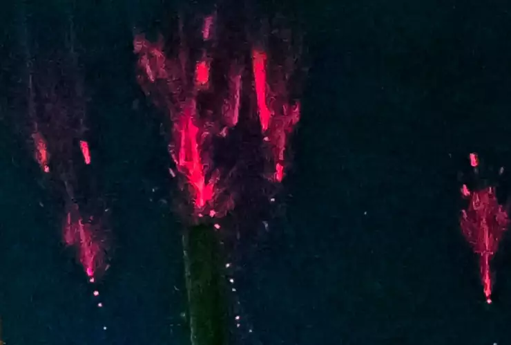 cómo-ser-voluntario-nasa-duendes-rojos-cielo-fenómenos-luminosos-transitorios-portada