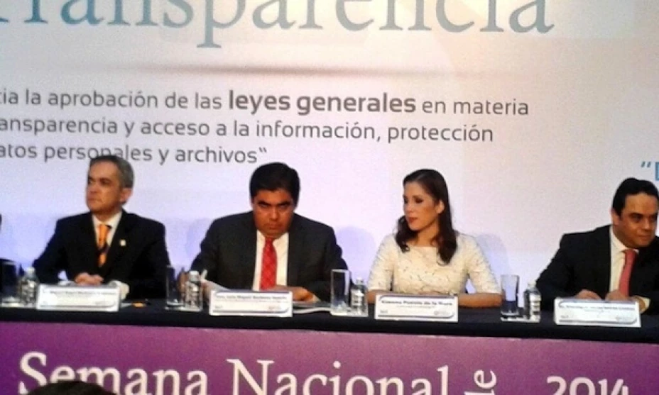 Ximena Puente, presidenta del IFAI