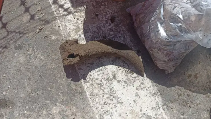huesos centro historico veracruz.