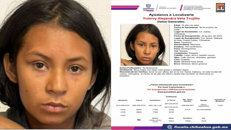 Pesquisa de Alejandra