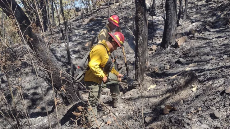 Bomberos extinguen incendio forestal en el paraje La Floresta del Colli, Zapopan