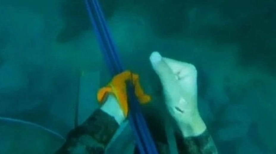 Sam Smith, de 17 años, grabó con una GoPro el instante en que un tiburón mordió su mano mientras buceaba en la playa de Mollymook en Sidney, Australia.