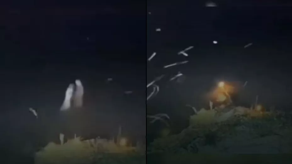 VIDEO | Pescador es atacado por una extraña criatura en el Amazonas, ¿qué era y por qué se volvió viral?