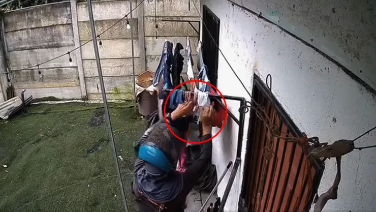 Las cámaras de seguridad registraron el comportamiento del trabajador en el patio trasero
