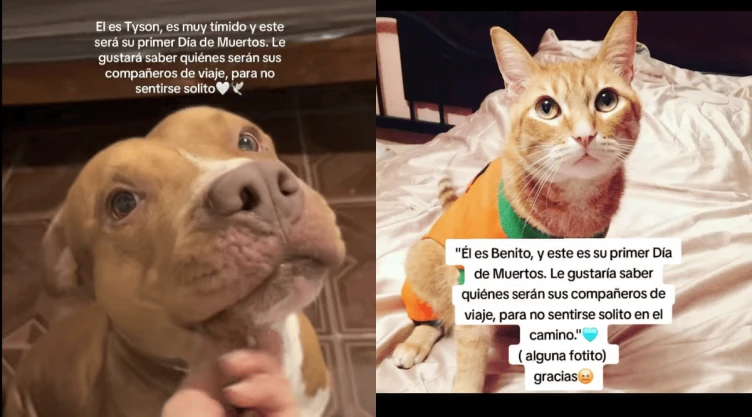 ¿Cómo hacer el Trend de Su primer Día de Muertos El video que ha conmovido a todo el mundo.png
