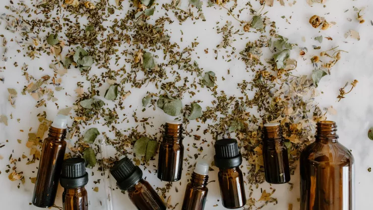 Protege tu hogar y utiliza el aceite esencial que ahuyenta a las moscas y mosquitos