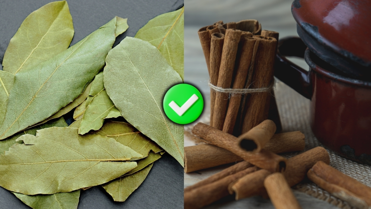 /estilo-de-vida/hervir-laurel-con-canela-para-que-sirve