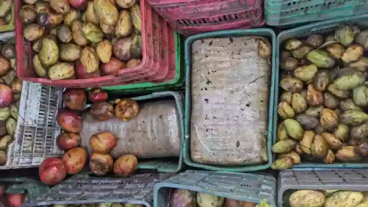 marihuana cargamentos mango guardia nacional.jpg