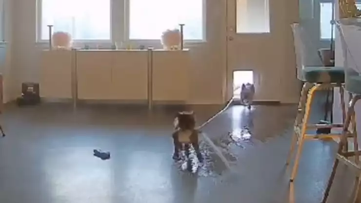 WhatsApp Image 2023-10-05 at 3.40.07 PM.jpeg