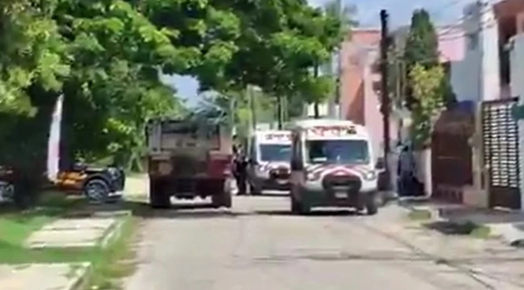 ¡Tragedia-en-Mérida_-Ataque-de-abejas-deja-una-mujer-muerta-y-dos-personas-lesionadas.webp