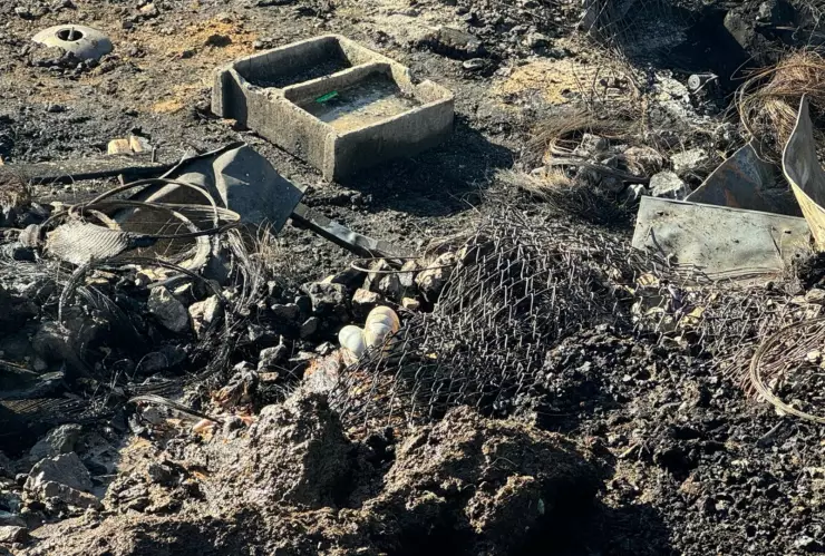 ANIMAMLES GRANJA CIUDAD JUAREZ.jpg