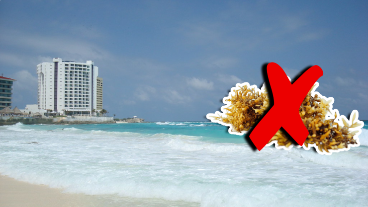 Estas son las playas sin sargazo en Quintana Roo HOY 25 de octubre de 2025_ Cancún, Playa del Carmen, Tulum y más.jpg