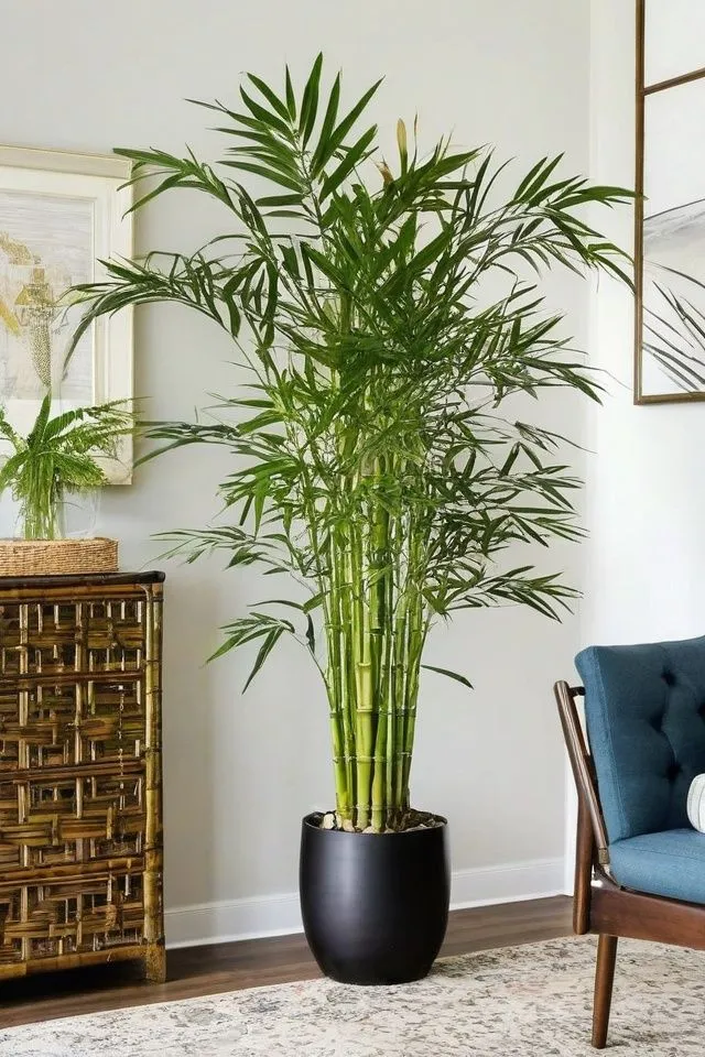 5 plantas que hacen que tu casa se vea minimalista y de lujo