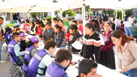 Tarjeta Violeta 2025