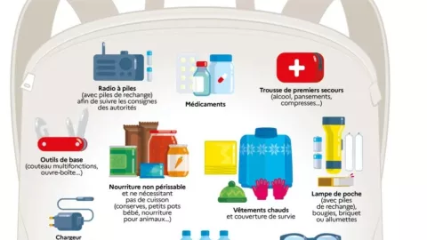 Francia distribuirá un manual de supervivencia para ayudar a los ciudadanos a prepararse ante crisis como desastres naturales y guerra.