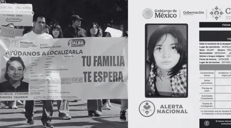 Ficha de búsqueda