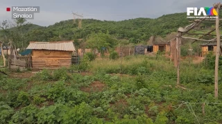 Familias en Sinaloa sufren desplazamiento forzado por la violencia