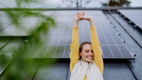 paneles solares CFE 2025