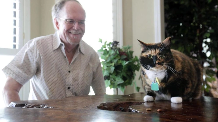 El gato guardian salva a su dueño de robo.