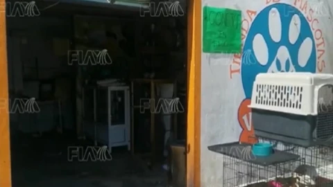 incendio en veterinaria de San Andrés Cholula