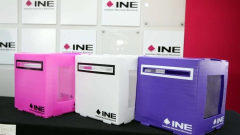 ¿Quiénes NO pueden votar en las elecciones 2024?