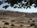 Los camiones que transportan ayuda se ven después del terremoto en Afganistán, el 25 de junio de 2022.