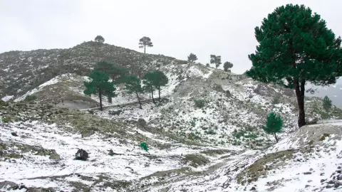 bajas temperaturas en Veracruz