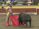 Tauromaquia Otro atentado contra la libertad