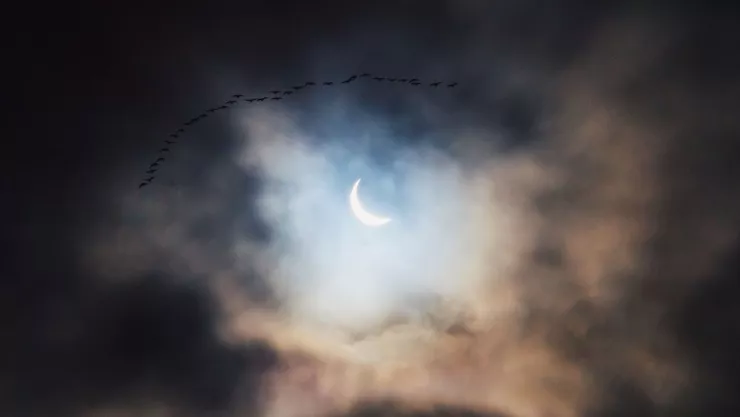 rituales para aprovechar la energía de un eclipse solar.jpg