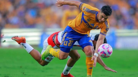 Tigres