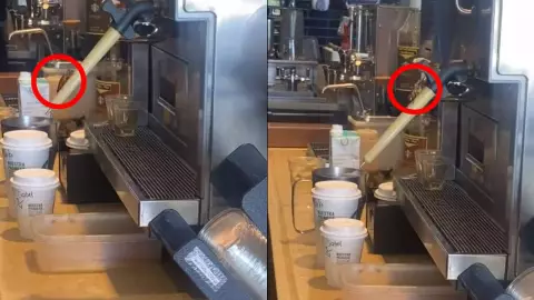 Viralizan cucaracha en cafetería de Cancún (VIDEO)