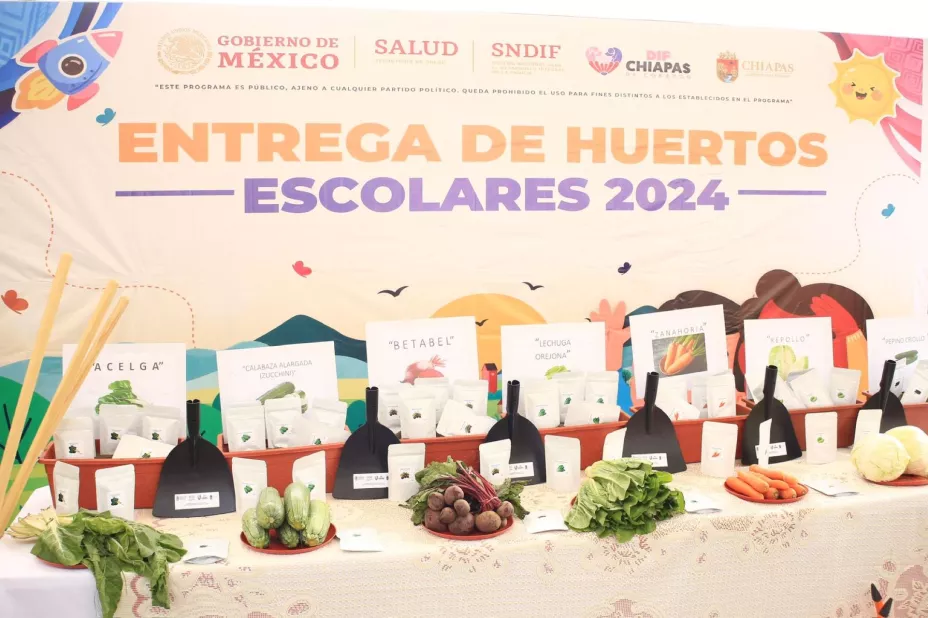 WhatsApp Image 2024-06-30 at 18.35.47.jpg