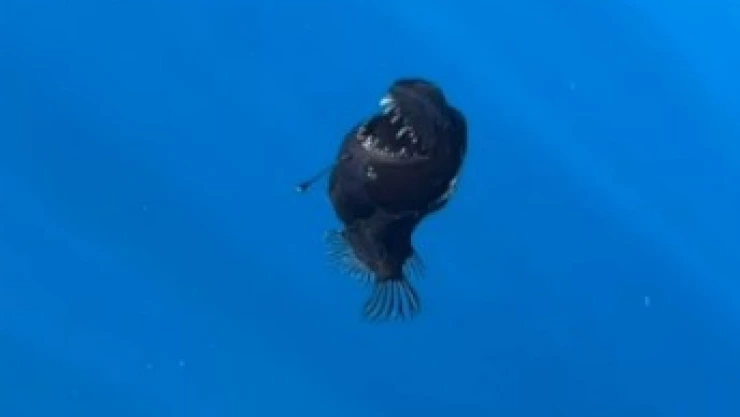 WhatsApp Image 2025-02-12 at 1.41.26 PM.jpeg