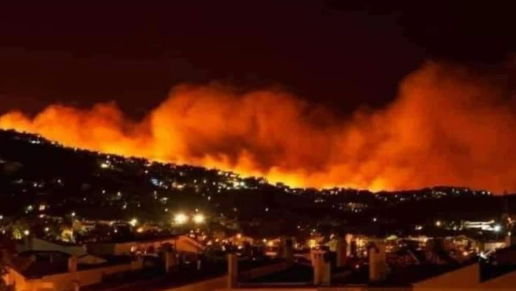 incendio cumbres de maltrata autopista puebla orizaba hoy