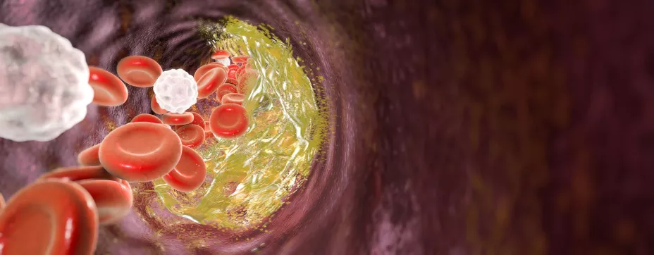 unnamed - 2025-05-02T121040.412.jpg