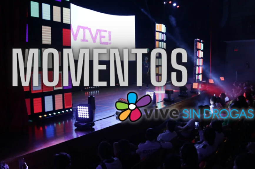Fotogalería VSD.png