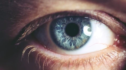 Un nuevo estudio ha revelado que existe un color de ojos que permite leer mejor con poca luz