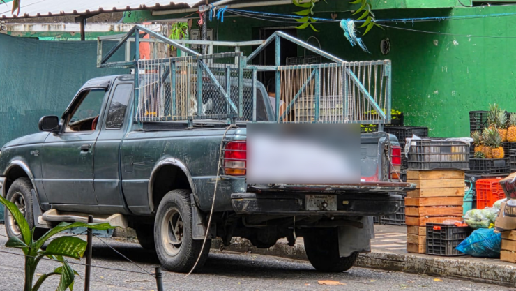 Muerto Buenavista Veracruz