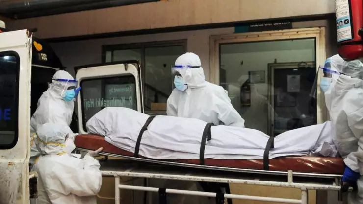 ¿Qué es el Virus Nipah y cómo se contagia? Reportan que tres de cada cuatro contagiados mueren