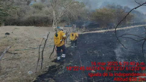 ¿Qué se sabe del incendio forestal en el Platanillo, Iguala?