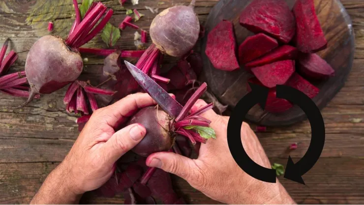 No tires las cáscaras del betabel, son un tesoro: cómo usarlas para fertilizante líquido para tus plantas